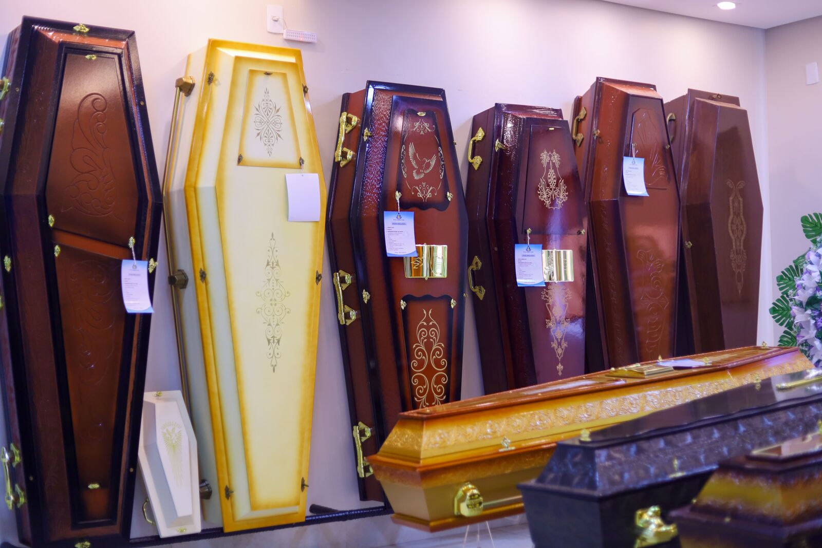 Sala de exposição com urnas funerárias de diferentes modelos